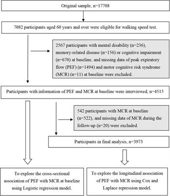 Association of peak expiratory flow with motoric cognitive risk syndrome among older adults